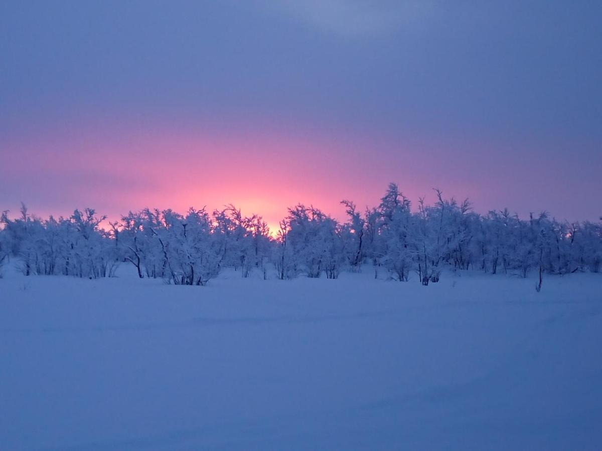 Máttaráhkká Northern Light Lodge Kiruna Esterno foto